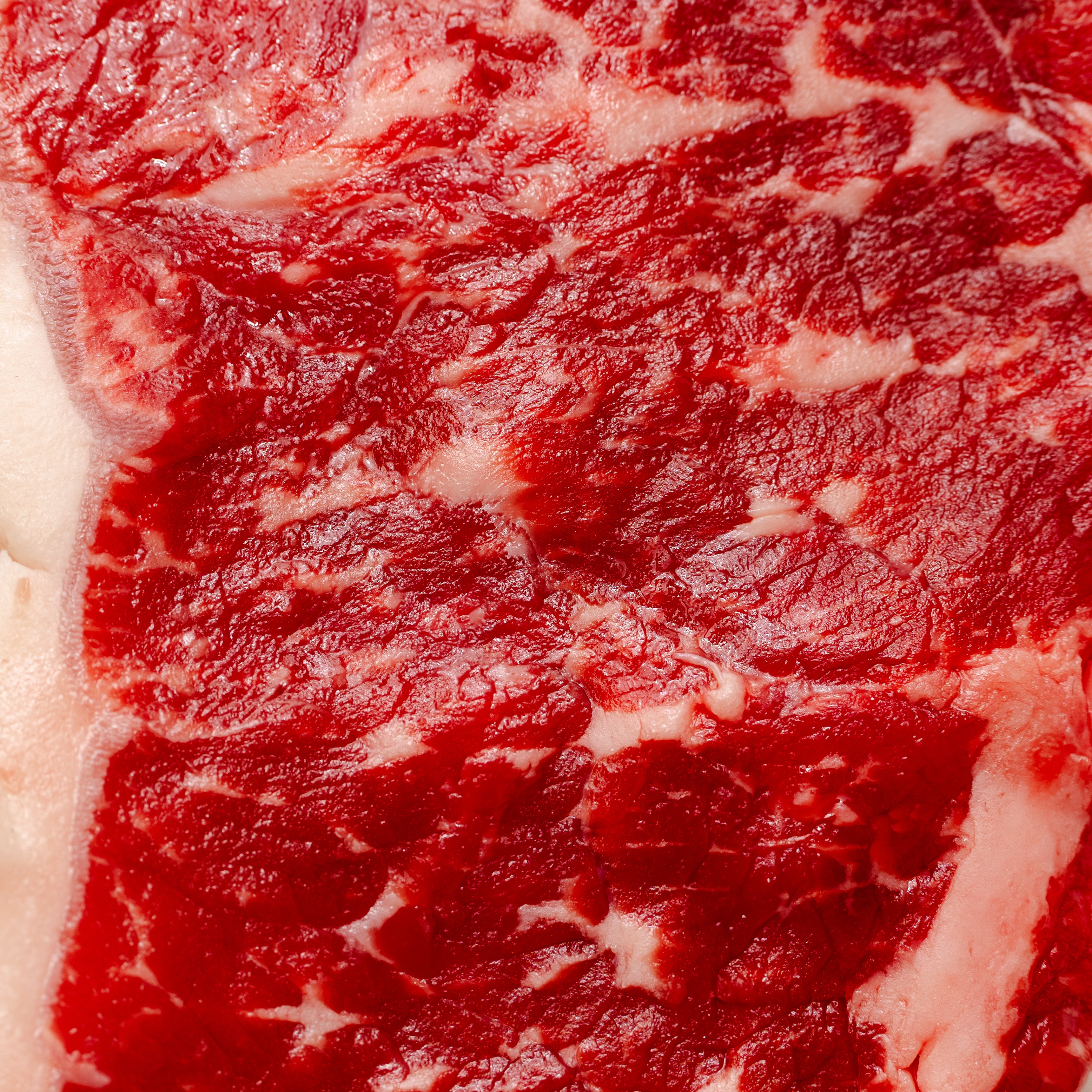 16 oz. WinterFrost  American Wagyu Ribeye Steaks | 4 pieces