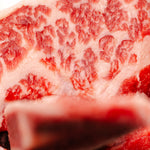 12 oz. Short Rib Osso Bucco | each